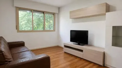 Apartment in Valle de Mena photo 4