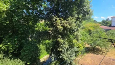 Apartment in Valle de Mena photo 16