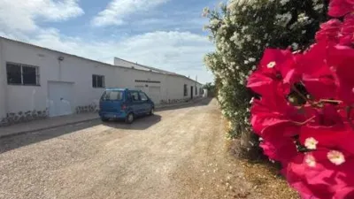 Casa – Daya Nueva, Barrio La Bodega - Vista 4