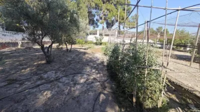 Rustic house in Petrer photo 77