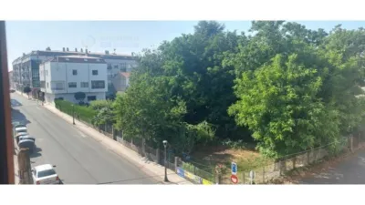 Apartment in Silleda photo 19