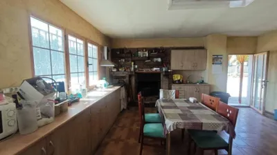 Rustic house in Petrer photo 20