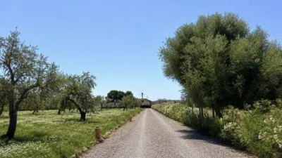 Rustic property in Tapia de Casariego photo 34