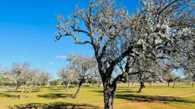 Rustic property in Tapia de Casariego photo 31