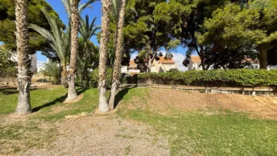 Apartment in El Alamillo photo 38