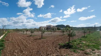 Rustic house in Sineu photo 39