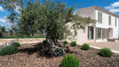 Rustic house in Sineu photo 41