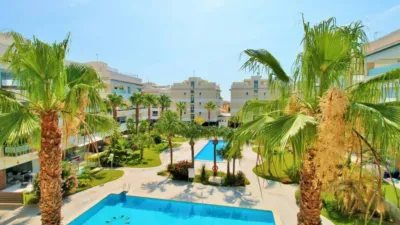 Piso – Orihuela - Vista 3