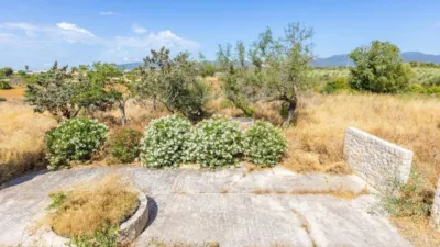 Rustic property in Son Cladera-Son Rutlan-Verge de Lluc photo 11