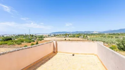 Rustic property in Son Cladera-Son Rutlan-Verge de Lluc photo 29