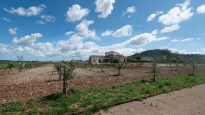 Rustic house in Sineu photo 40