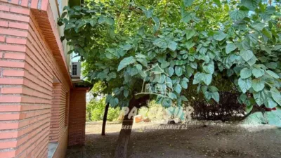 Rustic property in Cortijo de La Torre photo 34