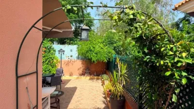 Casa – Los Montesinos - Vista 4