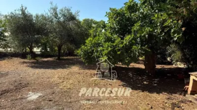 Rustic property in Cortijo de La Torre photo 36