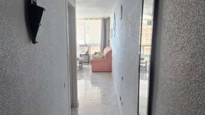 Apartment in L'Albufereta photo 5