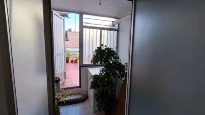 Apartment in San Antonio Abad-Ciudad Jardín photo 26
