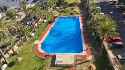Apartment in Aguadulce Sur photo 4