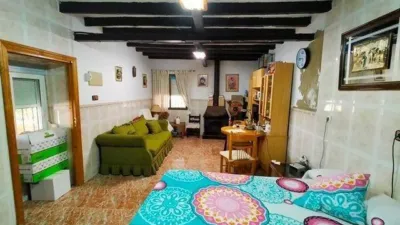 House in the University Area photo 15