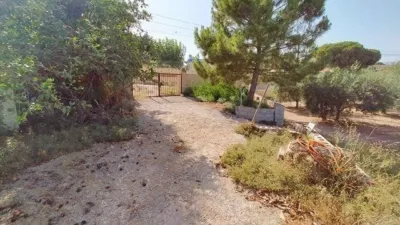 House in the University Area photo 31