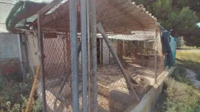 House in the University Area photo 29
