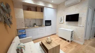 Apartment on Calle de Andrés Borrego photo 4