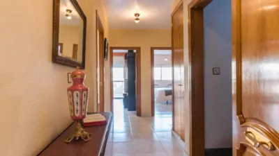 House in El Palmar photo 32