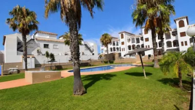 Pis – Orihuela - Vista 2