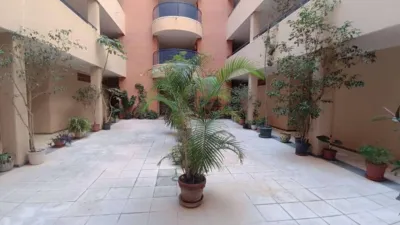 Pis – Torrevieja - Més