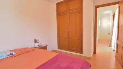 Chalet in Algorfa photo 25