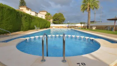 Chalet in Algorfa photo 39