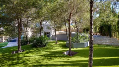 Piso – San Miguel de Salinas - Vista 4