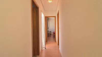 Chalet in Algorfa photo 20