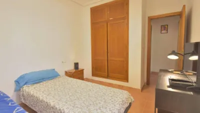 Chalet in Algorfa photo 14