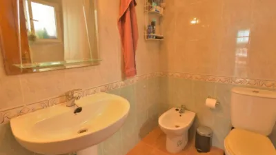 Chalet in Algorfa photo 16