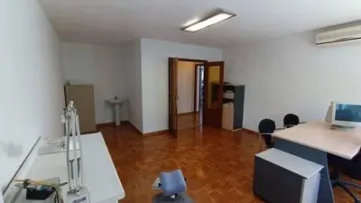Apartment in San Antonio Abad-Ciudad Jardín photo 11