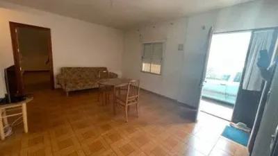 Miniatura 12