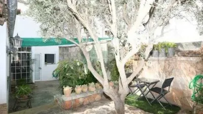 Rustic house in Felanitx photo 16