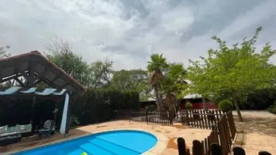 Miniatura 10