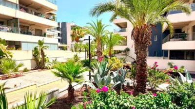 Apartment in Orihuela photo 21