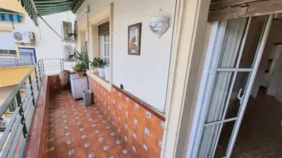 Apartment in San Pablo photo 12