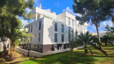Apartment in Calvià photo 5