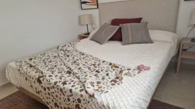Apartment in Murcia Capital photo 20