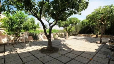 Rustic house on Camino Viejo de Motril photo 6