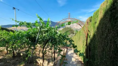 Rustic house on Camino Viejo de Motril photo 20