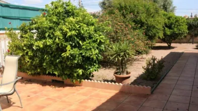 Casa – Torrevieja - Vista 4
