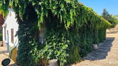 Rustic house in Cortelazor photo 40