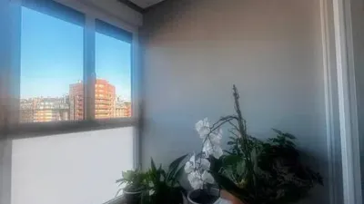 Apartment in Zabala photo 16