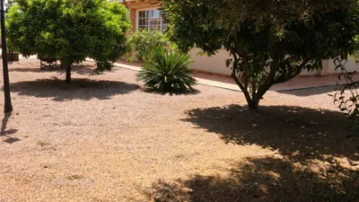 Casa – Torrevieja - Més