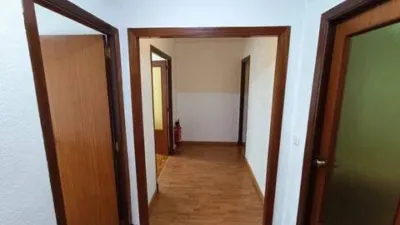 Apartment in San Antonio Abad-Ciudad Jardín photo 4