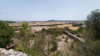 Rustic house in Sineu photo 29